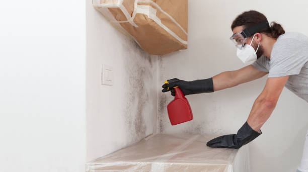 Professional Black Mold Remediation technician working in Islip, NY